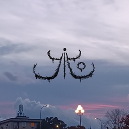 Avatar of user yito
