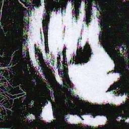 Avatar of user velours