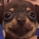 Avatar of user KatokMi