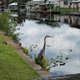 Avatar of user LoserClub