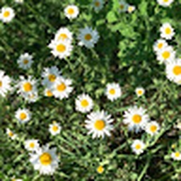 Avatar of user kathleenb