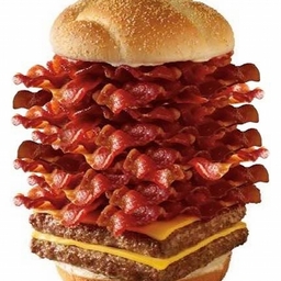 Avatar of user BaconatorSenior