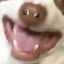 Avatar of user Bruhdude23