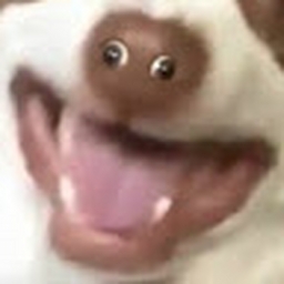 Avatar of user Bruhdude23