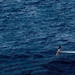 Avatar of user jemiiiii