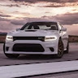 Avatar of user rg34w