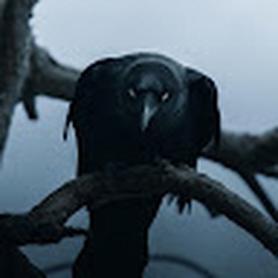 Avatar of user XxBlackCr0wxX