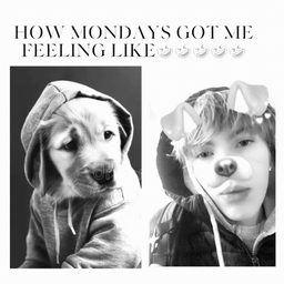 Avatar of user AKSUPACSU