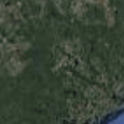 Avatar of user CDONK1