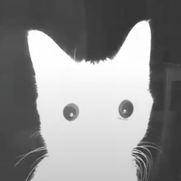 Avatar of user BwindBwoski