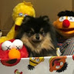 Avatar of user cvvvy