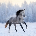 Avatar of user Kidsacademy2