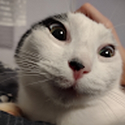 Avatar of user titi1131