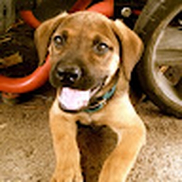 Avatar of user StickyPaper