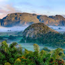 Avatar of user ljaythatruth