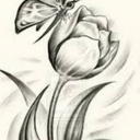 Avatar of user NikkNikk