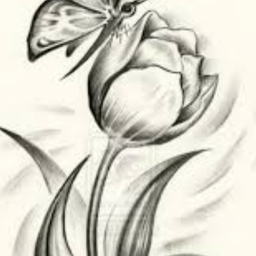 Avatar of user NikkNikk