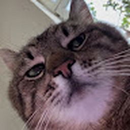 Avatar of user sinlucy4u