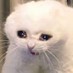 Avatar of user Destan__