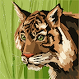 Avatar of user gumaa