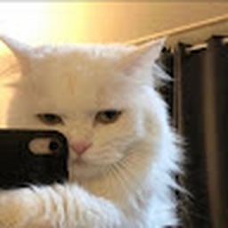 Avatar of user lmc2011mc