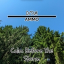 Cover of album Calm Before The Storm by DSM