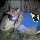 Avatar of user 830prod