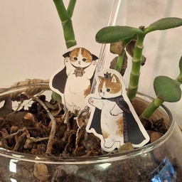 Avatar of user lynkd