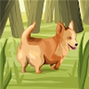 Avatar of user casamira