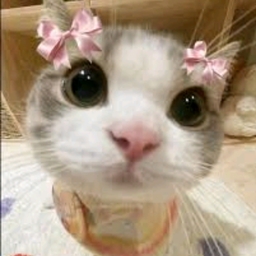 Avatar of user Cl4ver