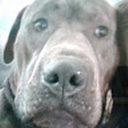 Avatar of user sadielynn