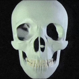 Avatar of user marthelheim