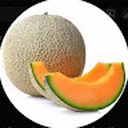 Avatar of user CantaloupeVR