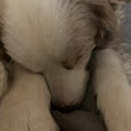 Avatar of user ex0duzz