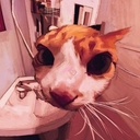 Avatar of user Sudjo