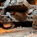 Avatar of user L3xW2008