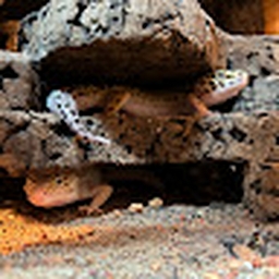 Avatar of user L3xW2008