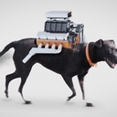 Avatar of user oleg12345