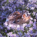 Avatar of user yy‎‎