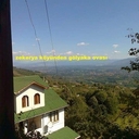 Avatar of user halveti