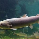 Avatar of user Lulu148