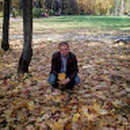 Avatar of user NikRom1981