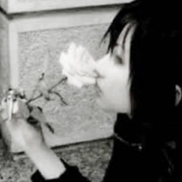 Avatar of user bleed4u