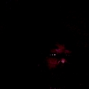 Avatar of user byrdn4