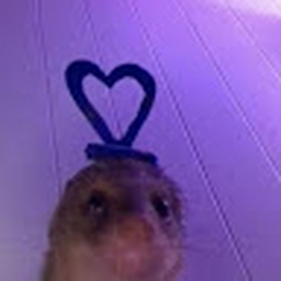 Avatar of user tylana17