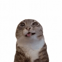 Cover of album Jam!e's actually good songs (archive) by Jam!e