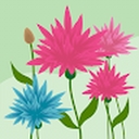 Avatar of user NOAMUSIC345