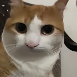 Avatar of user Blessd3040