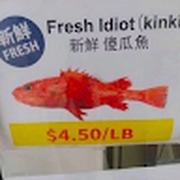 Avatar of user gelbitussenornasiggiphakult36