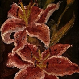 Avatar of user .just.another.human.